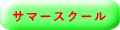 サマースクール 